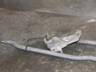 0114426GM0000 Wischermotor vorne Mazda MPV II (LW) 8495 007 081