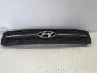Hyundai Tucson (JM) Kühlergrill ab 08/04