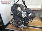 Citroen C5; Motor; Engine; ab 03/01-; XFX