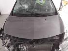 Renault Clio 3 Facelift orig Motorhaube Deckel vorn TEKNG Gris Cassiopee BJ2009