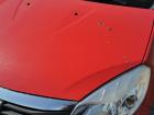 Dacia Sandero BS0 Motorhaube Haube Klappe Deckel Bonnet vorn OV21D RED Passion