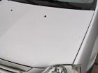 Dacia Logan MCV KSO Motorhaube Haube Klappe Deckel Bonnet vorn TED69 Grey