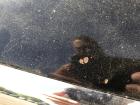 Mazda Tribute EP ab 2004 Motorhaube Haube Klappe Deckel schwarz Steinschläge