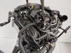 Audi Q2 Typ AG Motor 999ccm 81kw Dlaa 30TFSI Benzin nur 15tkm 1.0