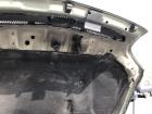 Opel Signum F48 Motorhaube Haube Klappe Deckel Grill Kühlergrill 3LU Bambusgrün