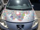 Peugeot 207 WA WC Motorhaube Haube Klappe Deckel vorn EZR Aluminiumgrau