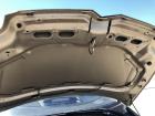 Citroen C4 Typ Links Motorhaube Haube Klappe Deckel vorn KCW Sable de Langrune