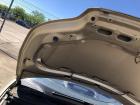 Citroen C4 Typ Links Motorhaube Haube Klappe Deckel vorn KCW Sable de Langrune