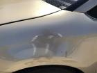 Citroen C4 Typ Links Kotflügel vorn links Fahrerseite Plastik KCW Sable de Langrune