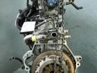 Honda Jazz orig Motor 1339kW 61kW Benzin L13A1 99Tkm Bj 2005