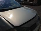 Renault Megane II orig Motorhaube TEA19-Beige Angora perl Bj 2004