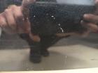 Chrysler Voyager RT original Heckklappe mit Scheibe AXR Brilliant Black Bj 2010