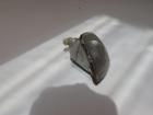 Original Vorderer Rechter Blinker Seat Ibiza Bj 1999 OEM 6K5953050B