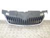 Skoda Fabia 2 Kühlergrill ab 03 / 10