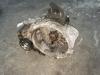 VW Passat 3C Schaltgetriebe Gearbox ab 05 / 07 KXX