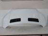 Ford Transit TTG Bj.2017 Motorhaube Frost white