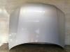 VW Passat 3BG Motorhaube Frontklappe Deckel vorn BJ00-03