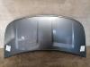 Smart ForFour 454 Motorhaube Frontklappe Deckel vorn EAC-Bay Gray metallic BJ04-06