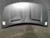 Smart ForFour (454) BJ 2004 Motorhaube Frontklappe Deckel vorn