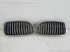 BMW F10 5er Bj 11 Satz Nieren Grillnieren Grill Frontgrill links rechts