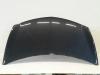 Renault Clio 3 III BR original Motorhaube Alu grau TEB66