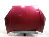 Ford Focus I original Motorhaube Salsa Rot Metallic Baujahr 2003