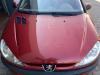 Peugeot 206 original Motorhaube Klappe Deckel vorn EKQ Luziferrot Bj 2004